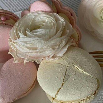 animanga + comfort characters